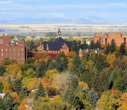 a group of buildings and trees