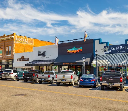 a row of cars parked in front of a store