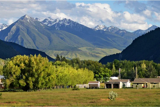 a field with trees and mountains in the background