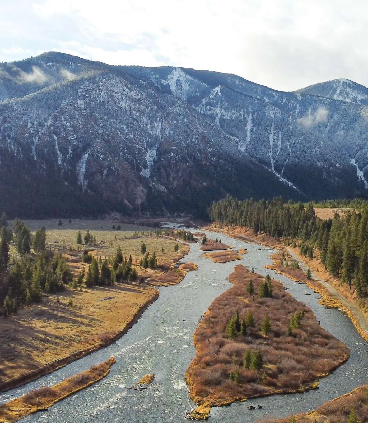 A winding river flows through a valley bordered by snowy mountains and scattered evergreen trees under a cloudy sky.