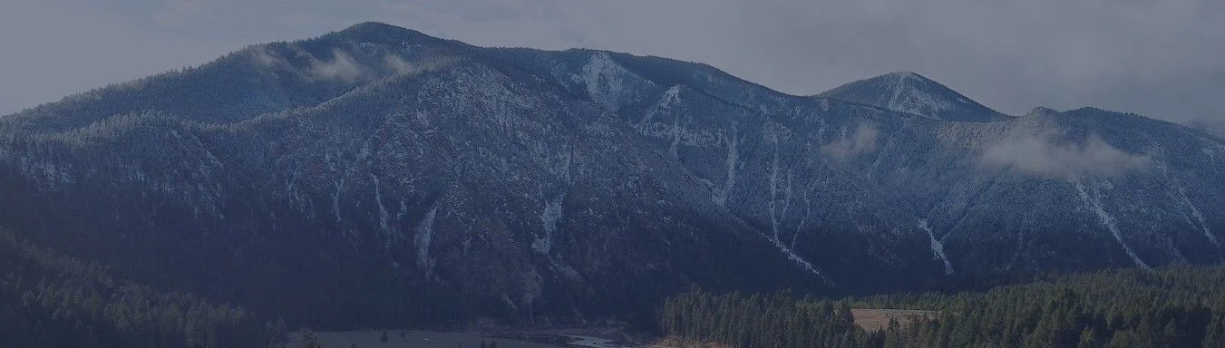 Snow-capped mountains rise majestically under a cloudy sky, surrounded by dense evergreen forests and a serene valley below.